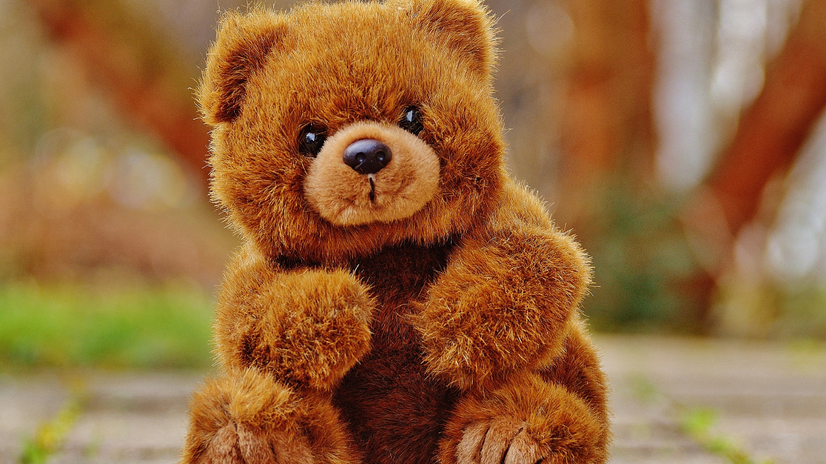 Amazon Great Freedom Festival Sale 2025: Best Deals on Teddy Bears Under Rs. 999