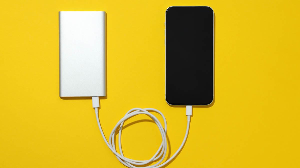 Top Power Banks to Buy: High-Capacity Picks from Myntra Brand Brigade Sale 2025