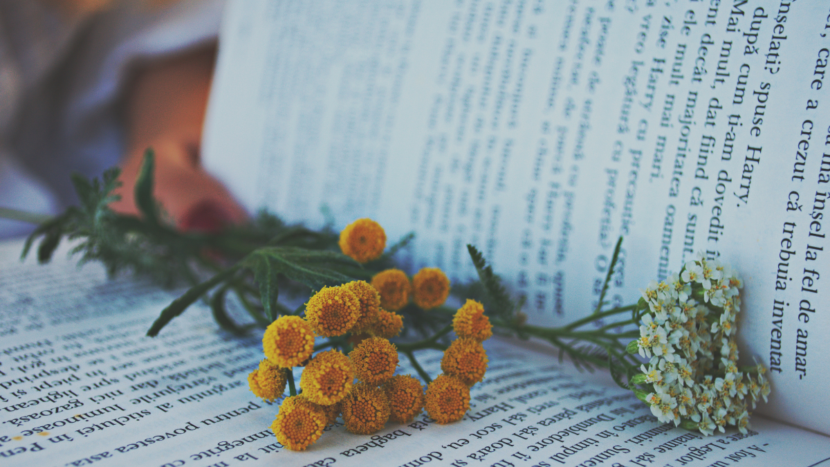 Amazon's 5 Must-Read Psychology Books to Understand Minds, Money, and Behavior Amazon's 5 Must-Read Psychology Books to Understand Minds, Money, and Behavior