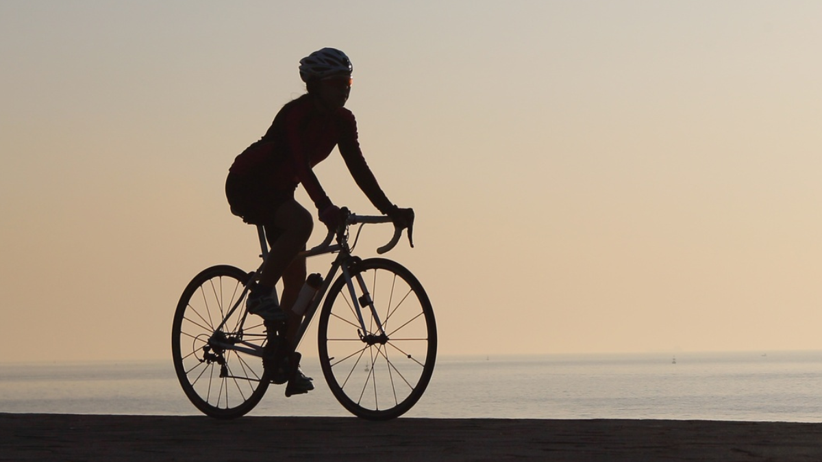 Latest and Breaking News on NDTV Latest and Breaking News on NDTV