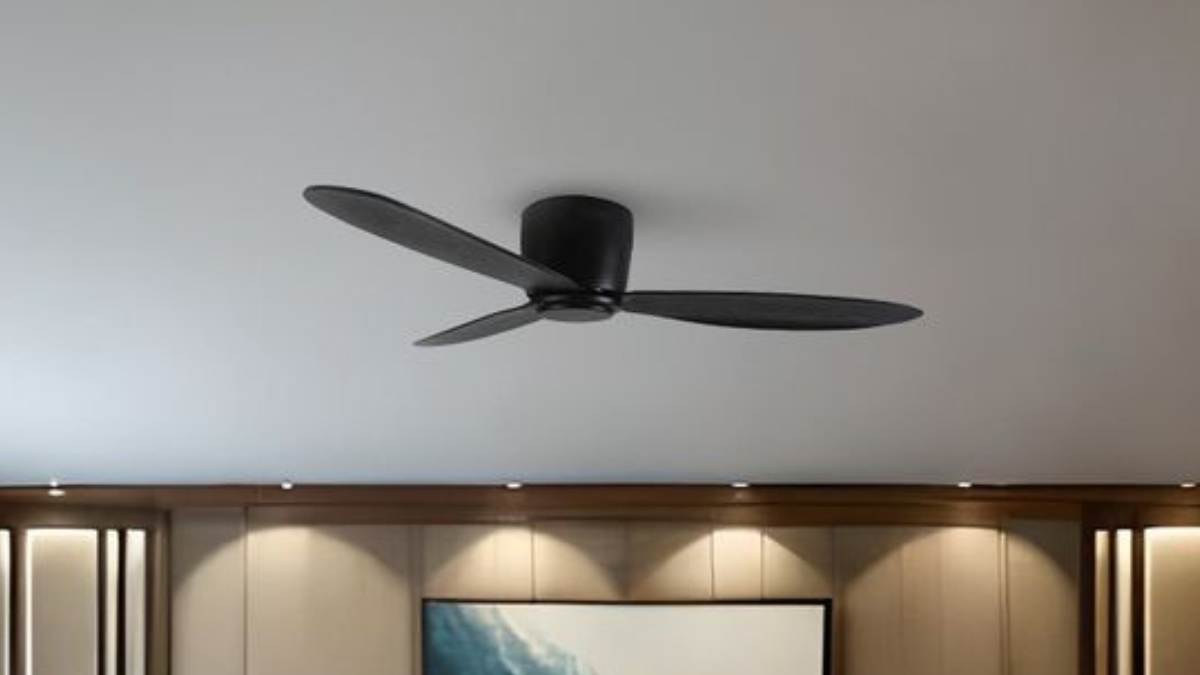 BLDC Vs Ordinary Ceiling Fans: Choose from Orient, Bajaj, and more!