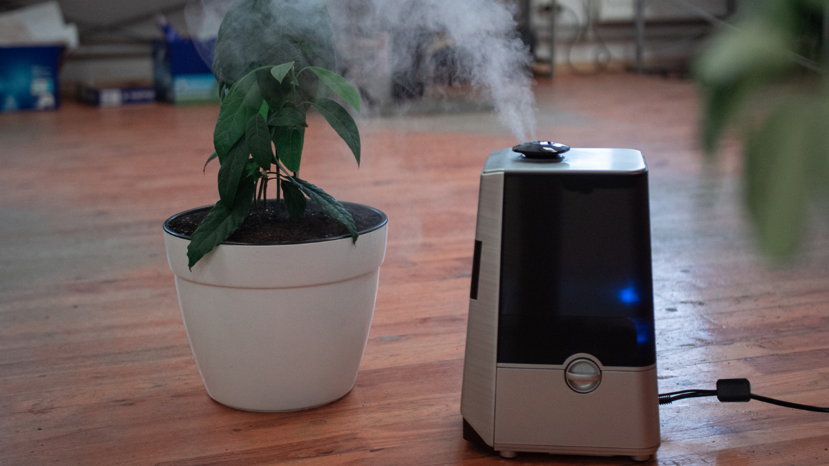 Amazons Air Purifier Sale 2025: Top 5 Smart Air Purifiers for a Cleaner and Healthier Home