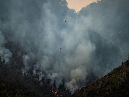 Forests Emit Carbon Dioxide for Years After Wildfires, Study Finds Forests Emit Carbon Dioxide for Years After Wildfires, Study Finds