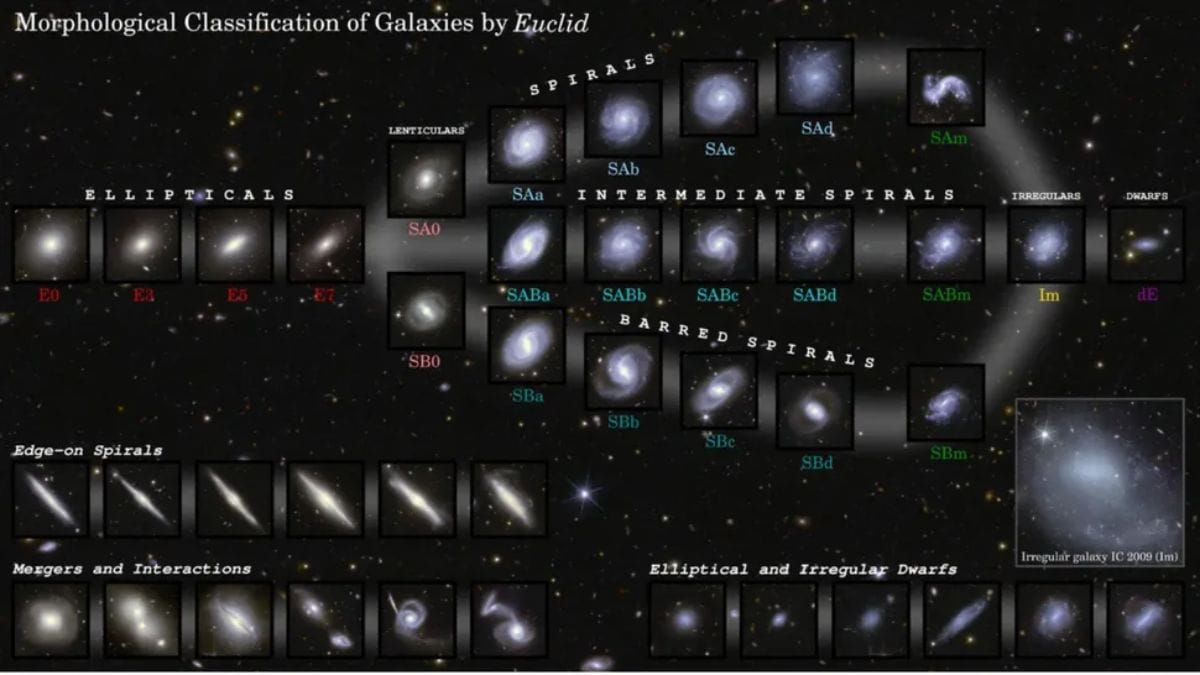 ESA’s Euclid Telescope Charts Over a Million Galaxies in Landmark First Data