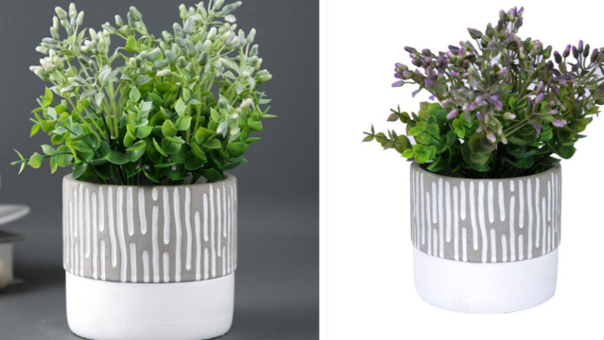 Myntra Sale 2025: Best Indoor Planters under Rs. 599 Myntra Sale 2025: Best Indoor Planters under Rs. 599