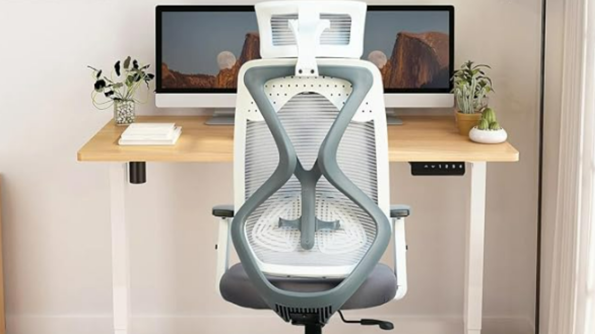 Best-Rated CellBell Office Chairs  To Shop Online At Amazon