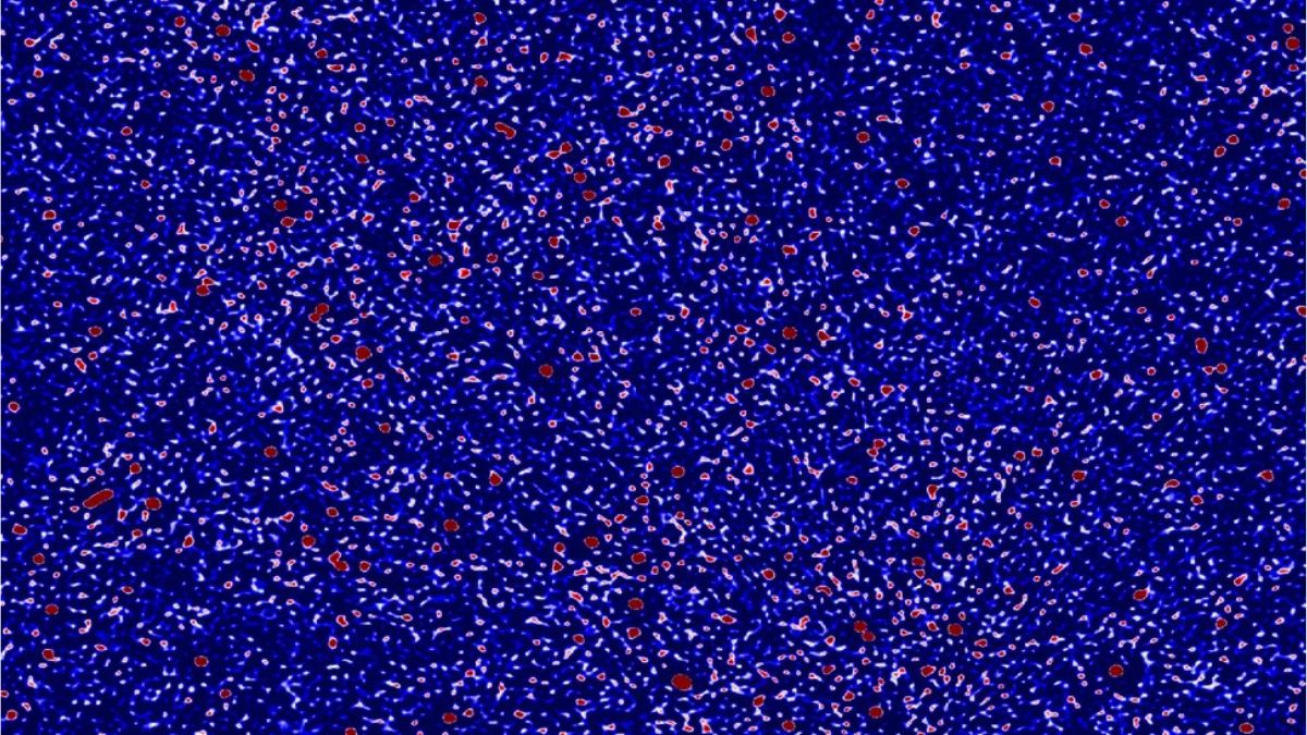 Scientists Create Most Detailed Radio Map of Early Universe Using MWA