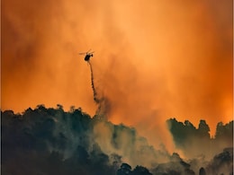 Atmospheric Carbon Dioxide Soars to 424PPM, Marking Biggest Yearly Jump Ever Atmospheric Carbon Dioxide Soars to 424PPM, Marking Biggest Yearly Jump Ever
