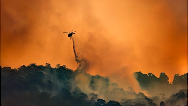 Atmospheric Carbon Dioxide Soars to 424PPM, Marking Biggest Yearly Jump Ever Atmospheric Carbon Dioxide Soars to 424PPM, Marking Biggest Yearly Jump Ever