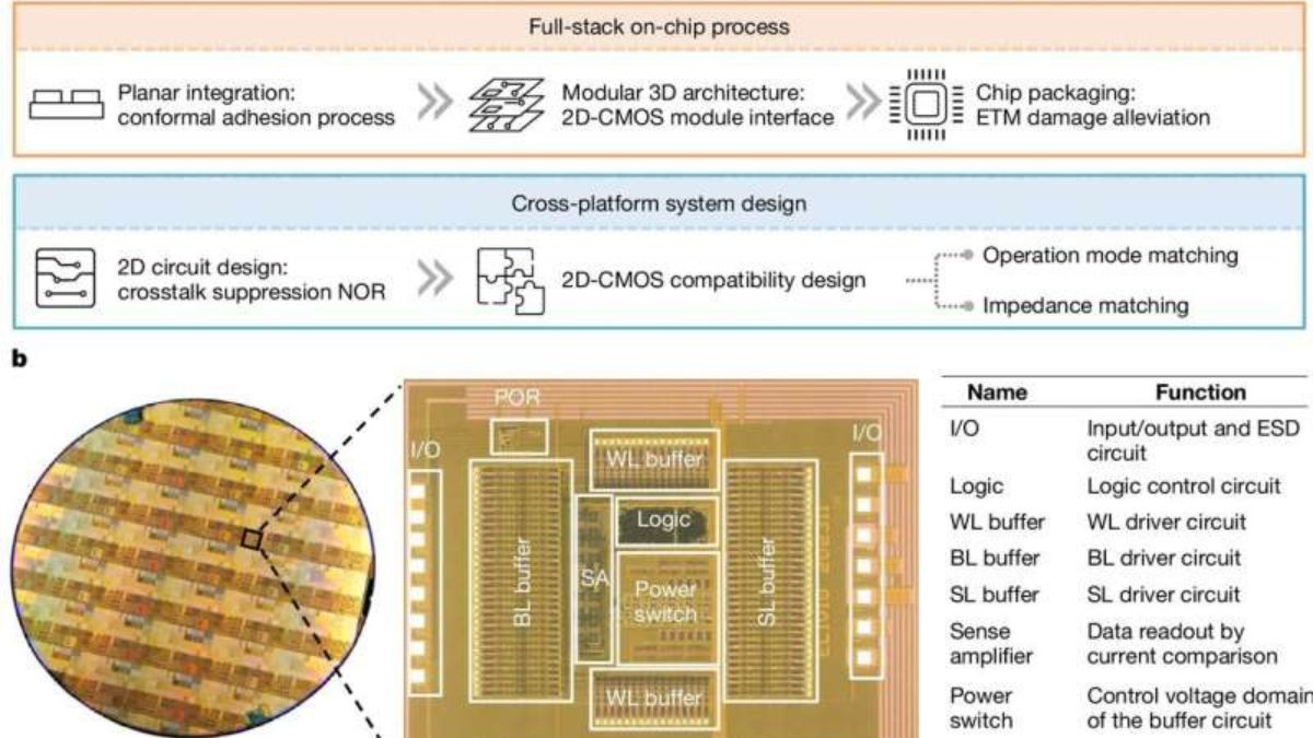 World’s First Chip Combining 2D Materials With Silicon Circuits Marks Breakthrough in Computing