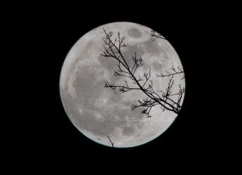 Wolf Moon on January 13, 2025: Explore What to Expect in the Sky