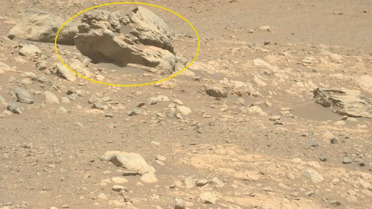 NASA’s Perseverance Rover Finds Metal-Rich Rock on Mars: What You Need to Know