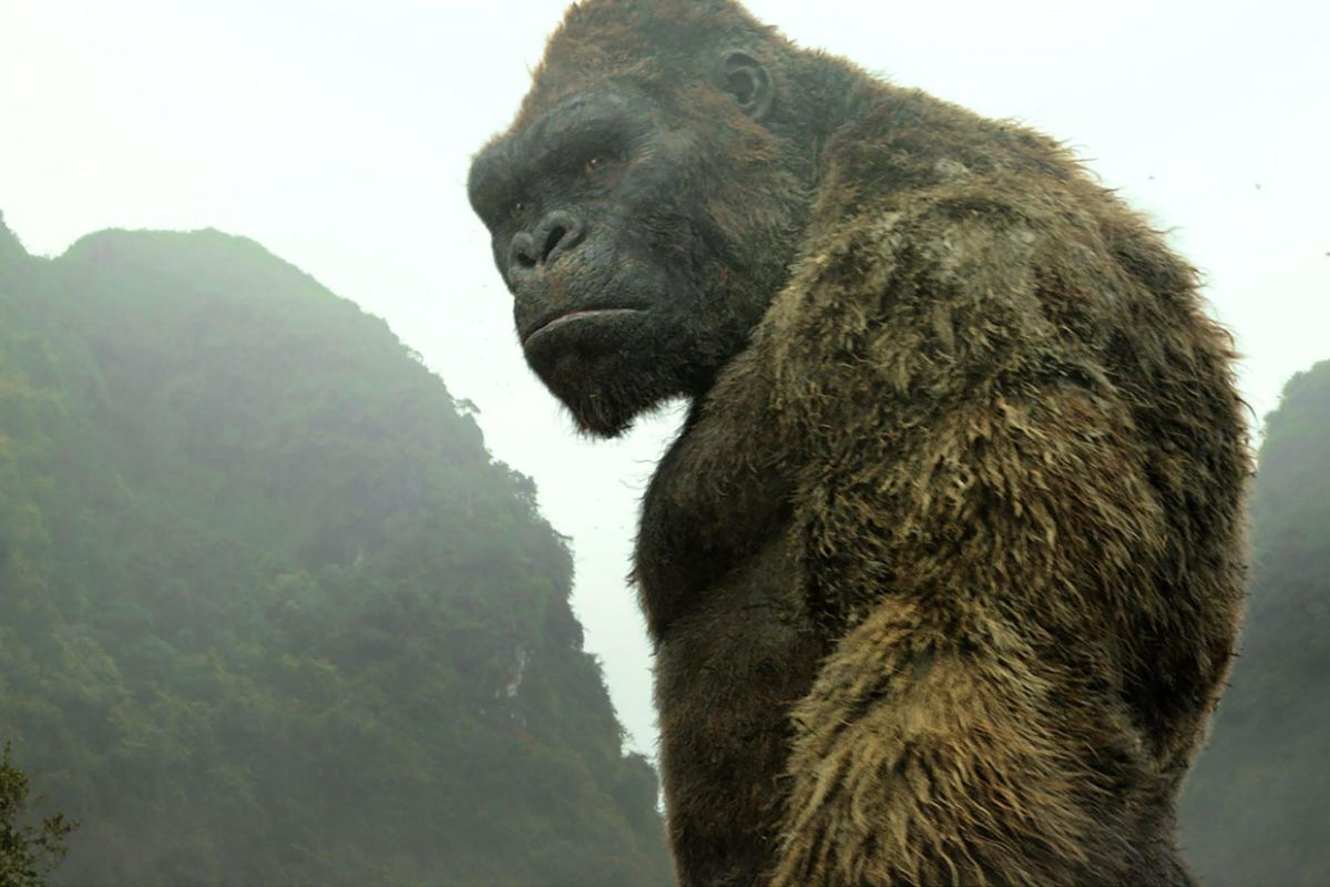 Godzilla vs. Kong 2 Release Date Set for March 2024. Dune: Part Two Delayed a Month