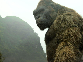 Godzilla vs. Kong 2 Cast Confirmed, Plot Details Suggest More Screen Time for Titans