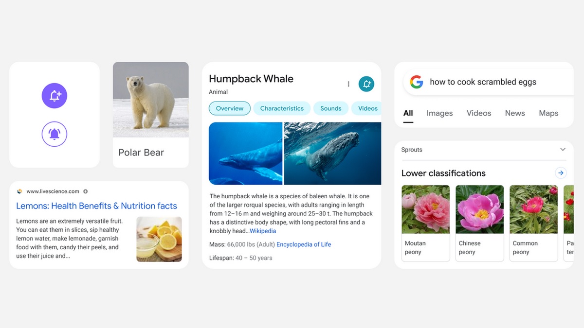Google Search on Mobile to Get Redesign With More Focus on Important Information, Rounded Overall Aesthetic