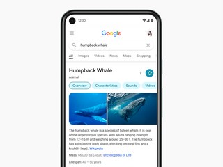 Google Search on Mobile to Get Redesign With More Focus on Important Information, Rounded Overall Aesthetic