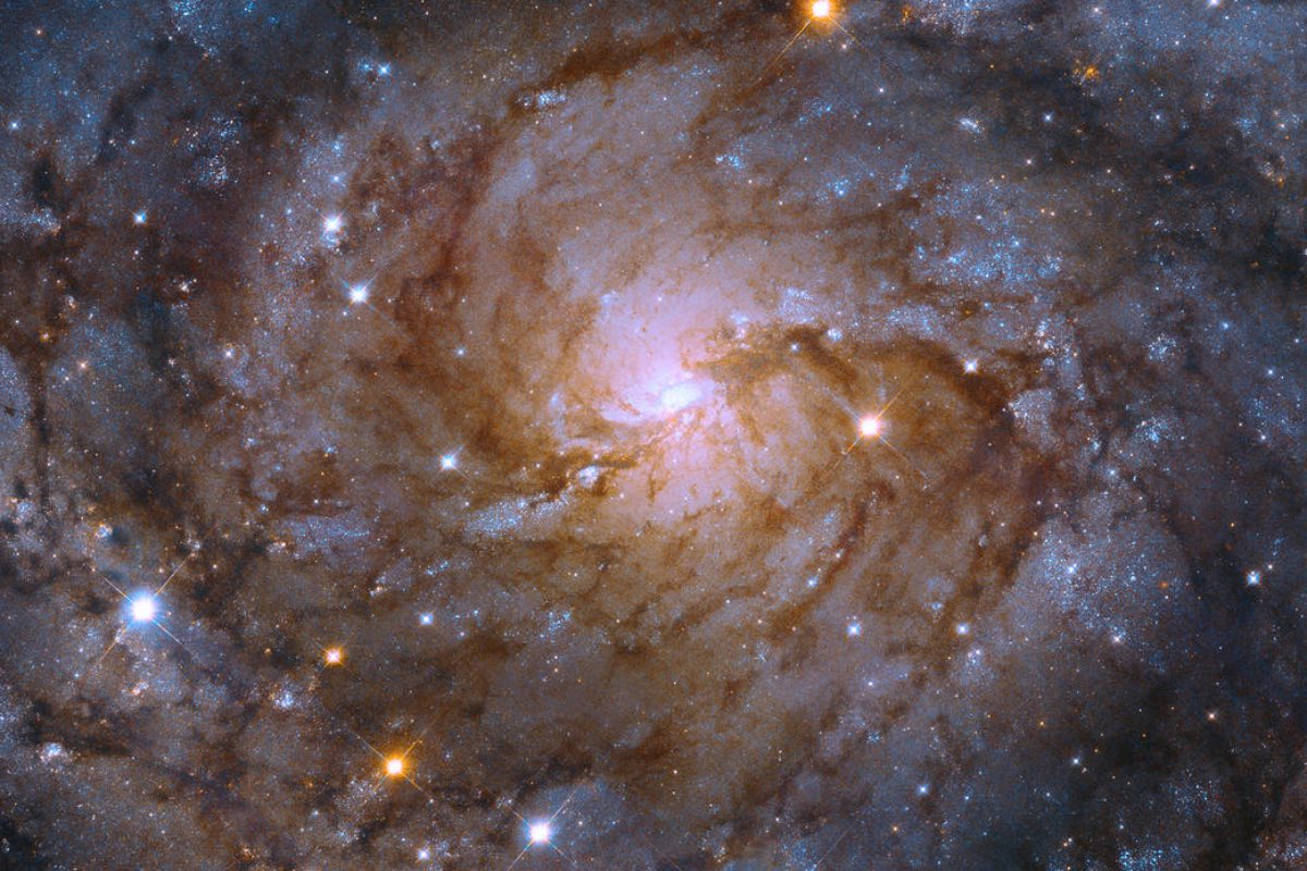 Galaxies Galore: Here’s What Glitters In This New Image By NASA’s Hubble Space Telescope