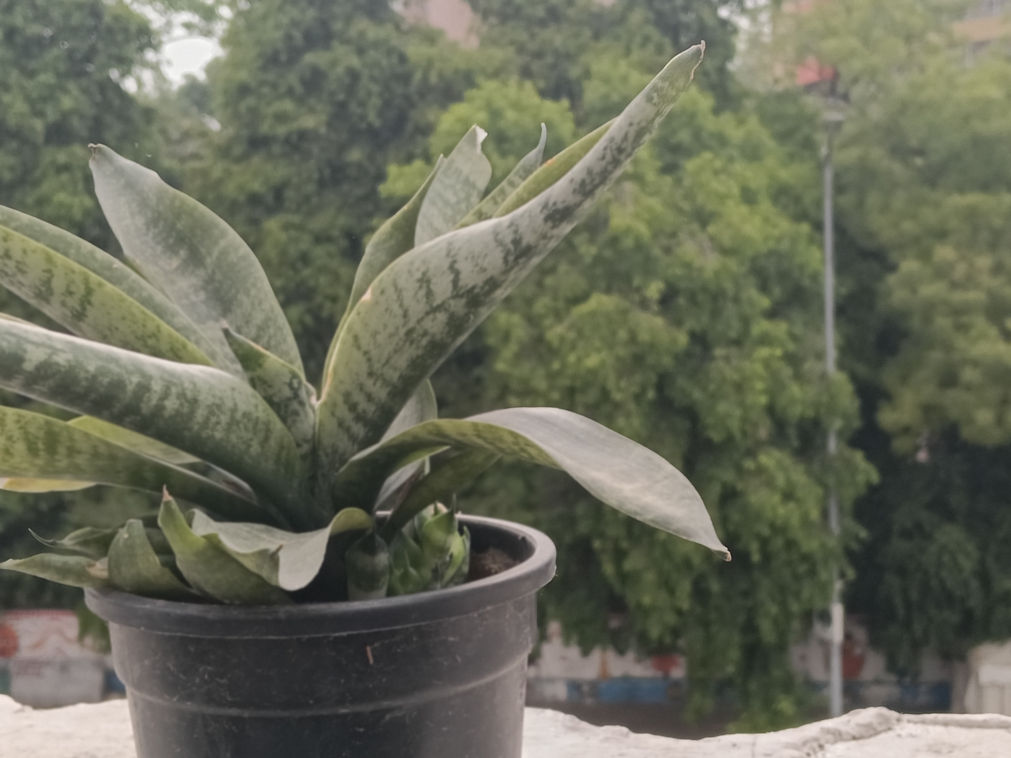 IMG20260417152240 Oppo F33 Pro 5G