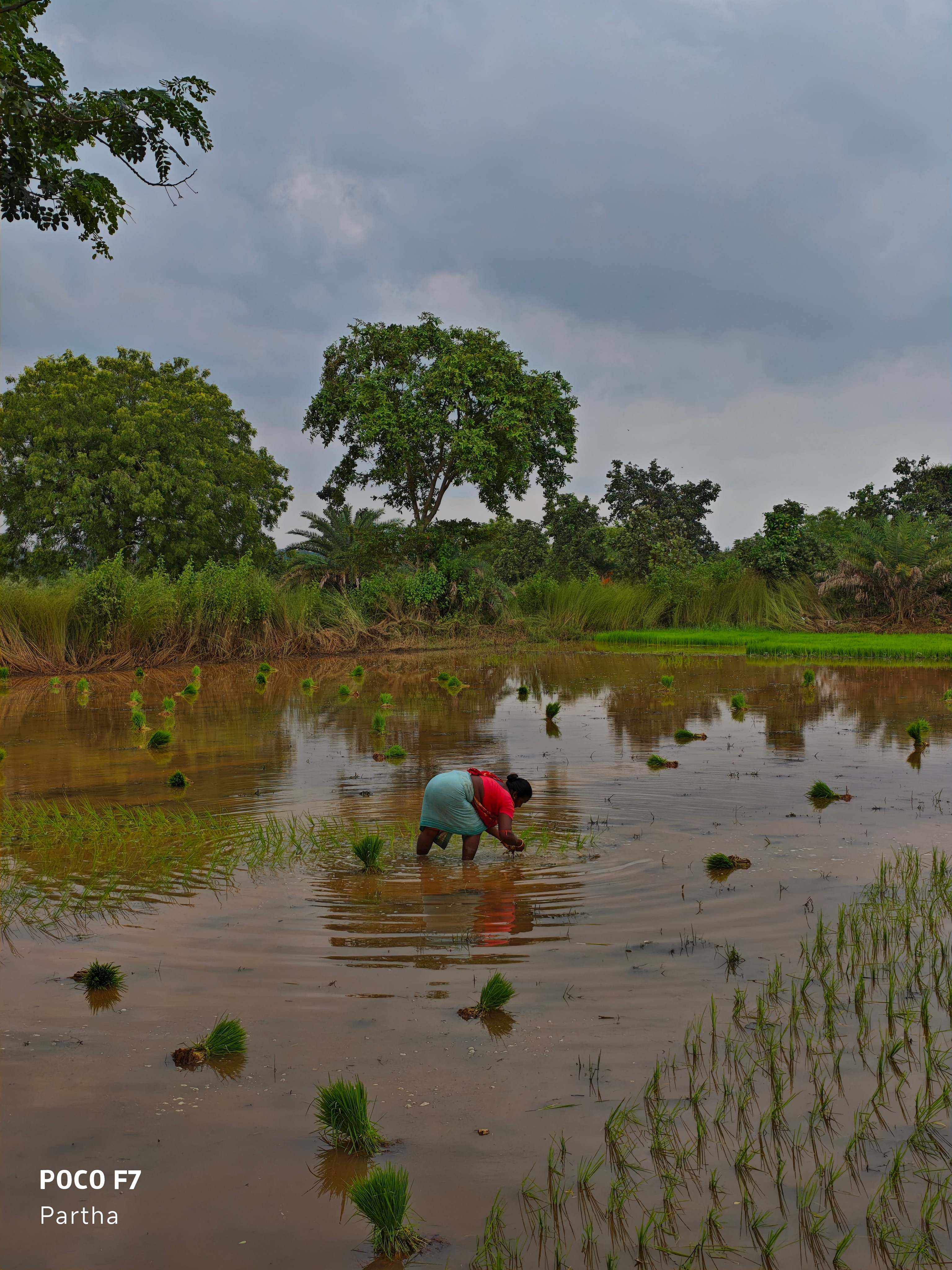 IMG 20250725 153943 hdr