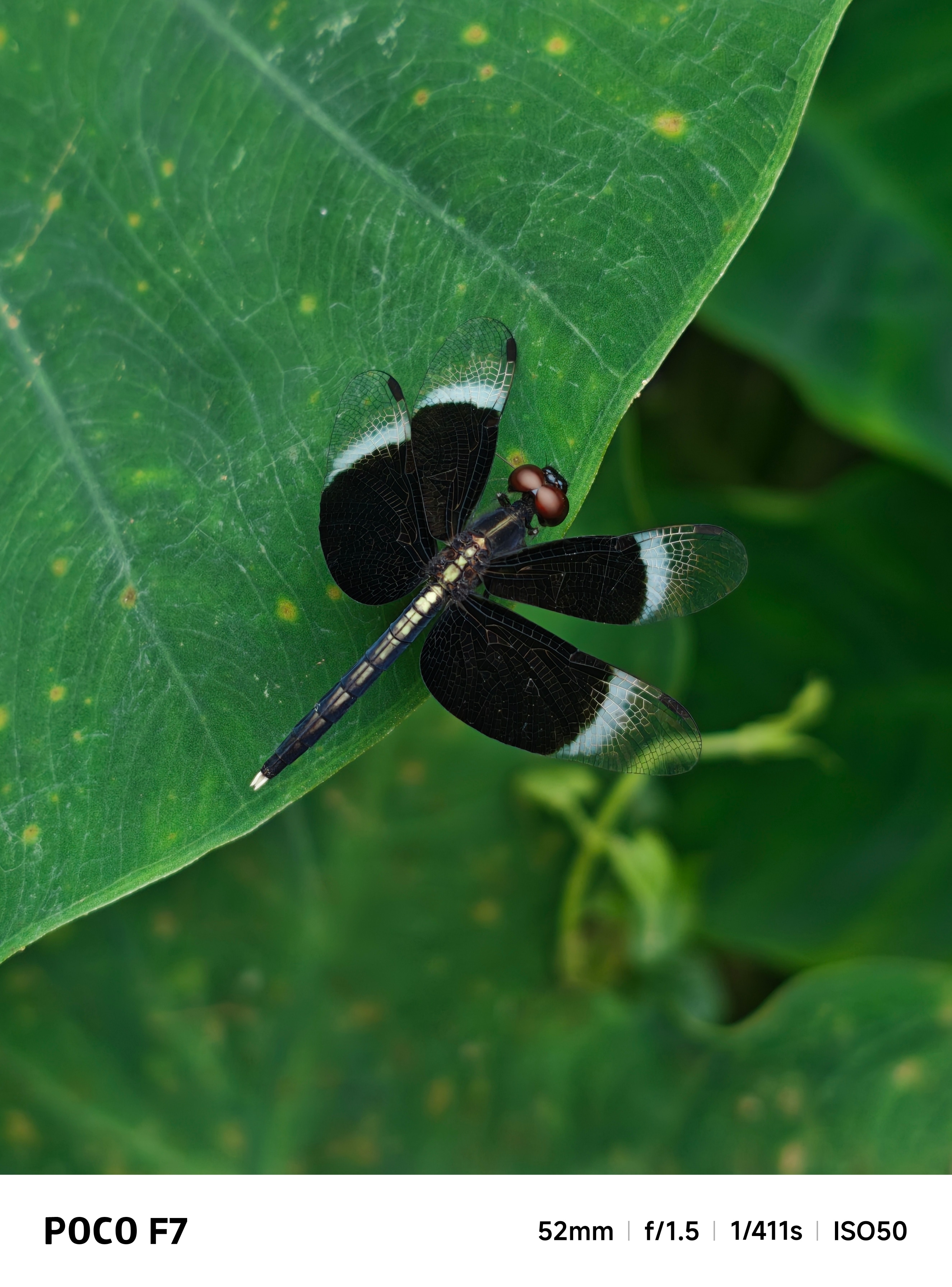 IMG 20250730 092548 poco