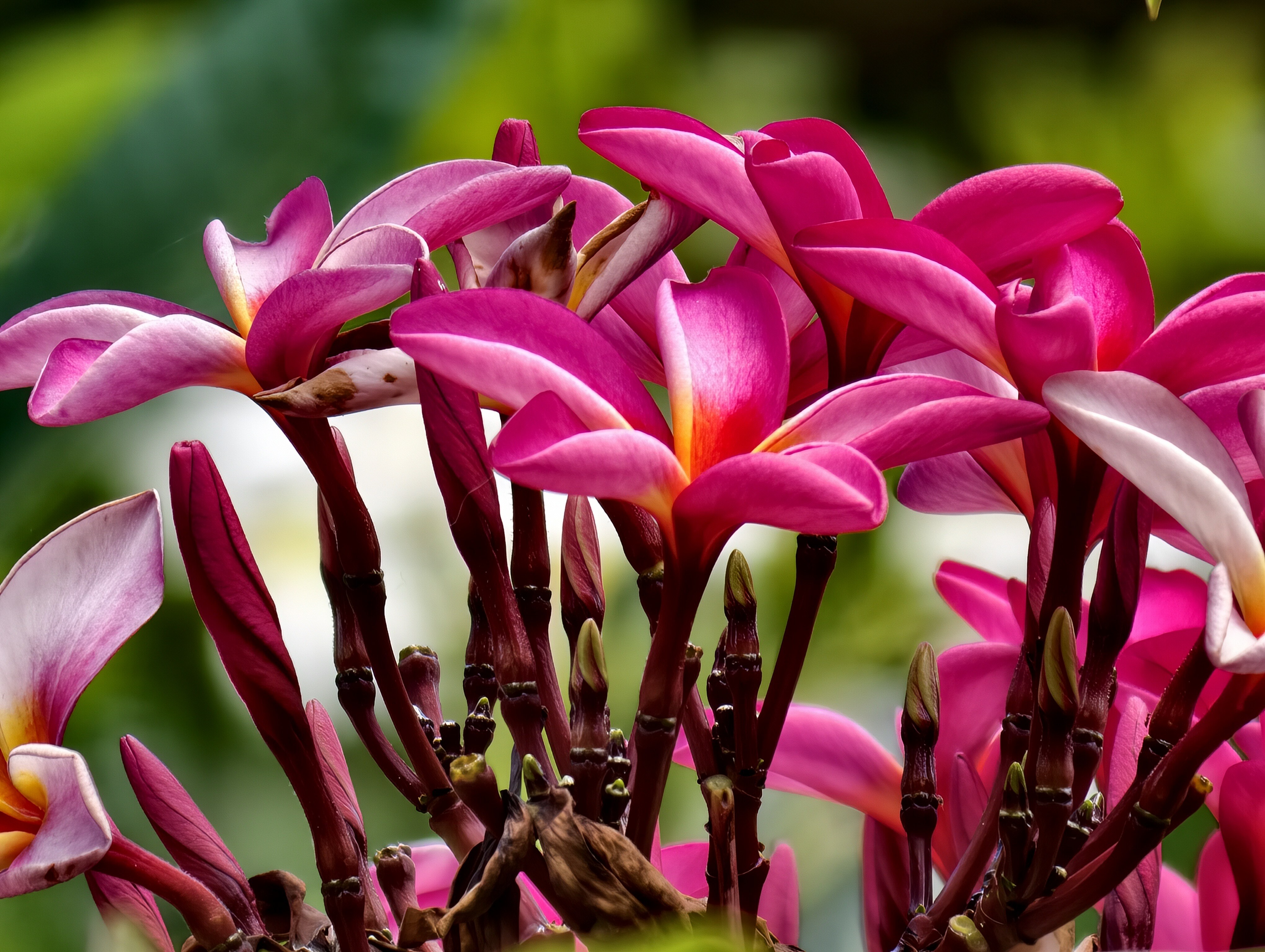 IMG 20251123 115049 flow