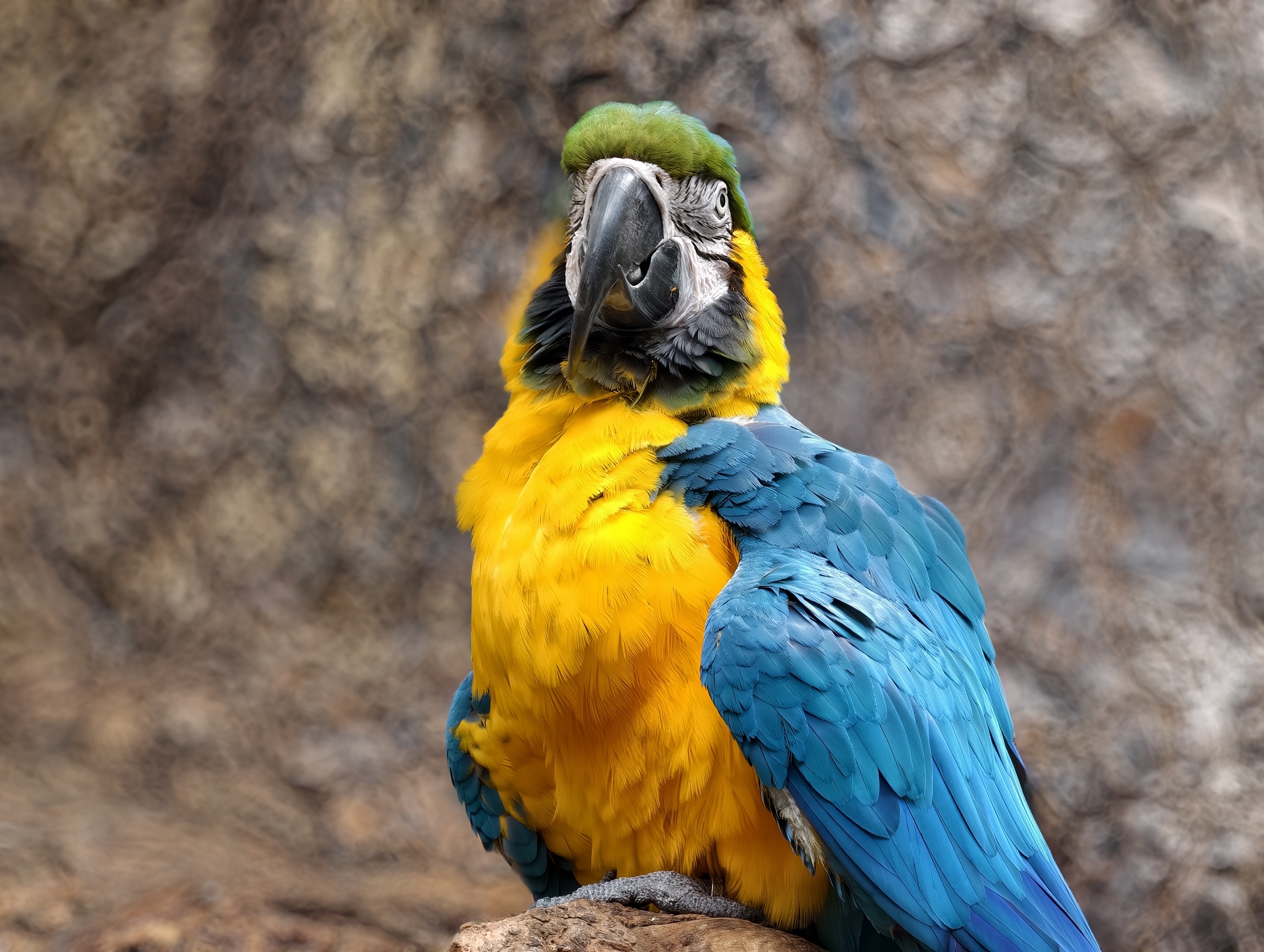 IMG 20251123 140658 parr