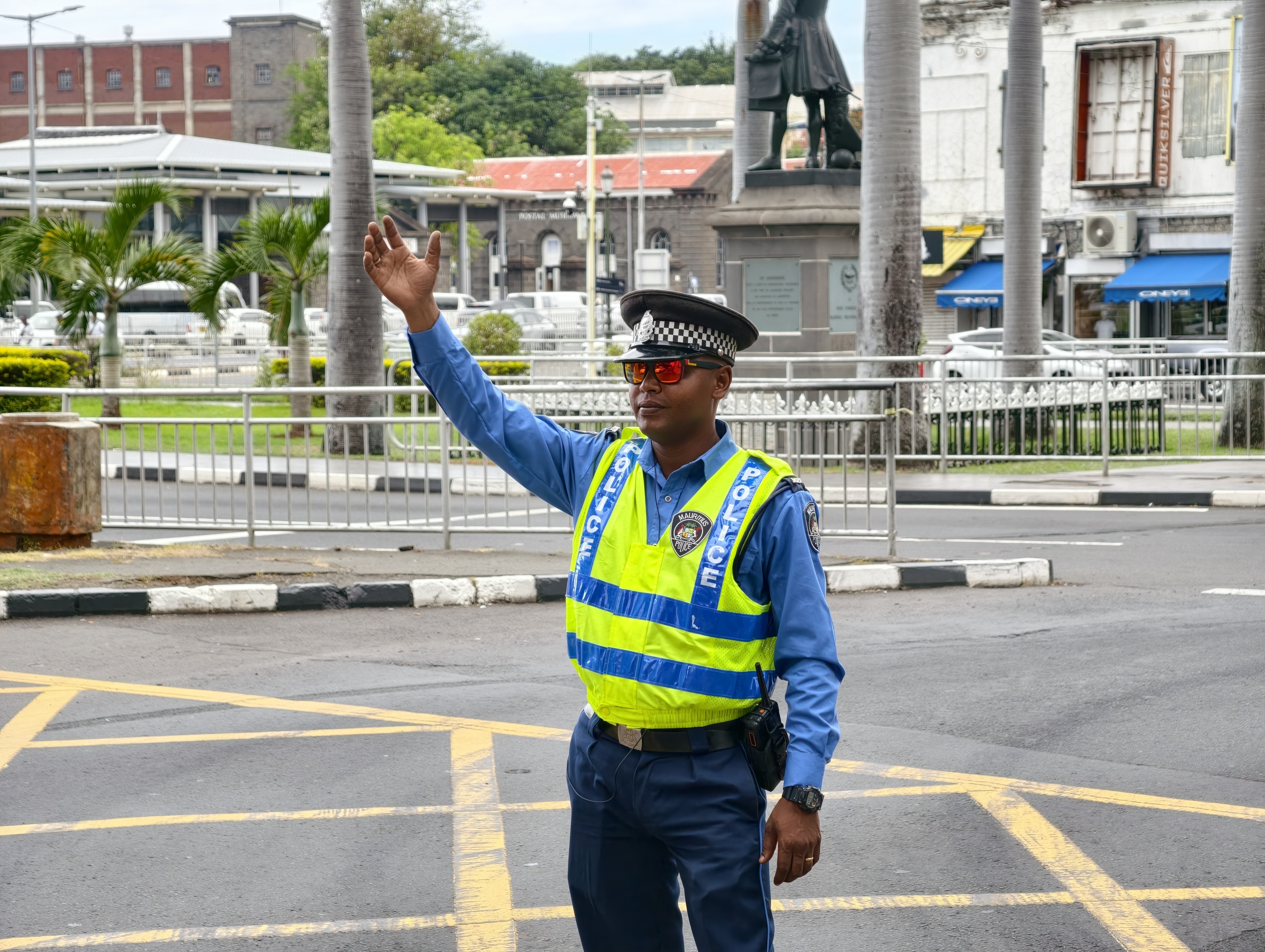 IMG 20251124 153505 pulse