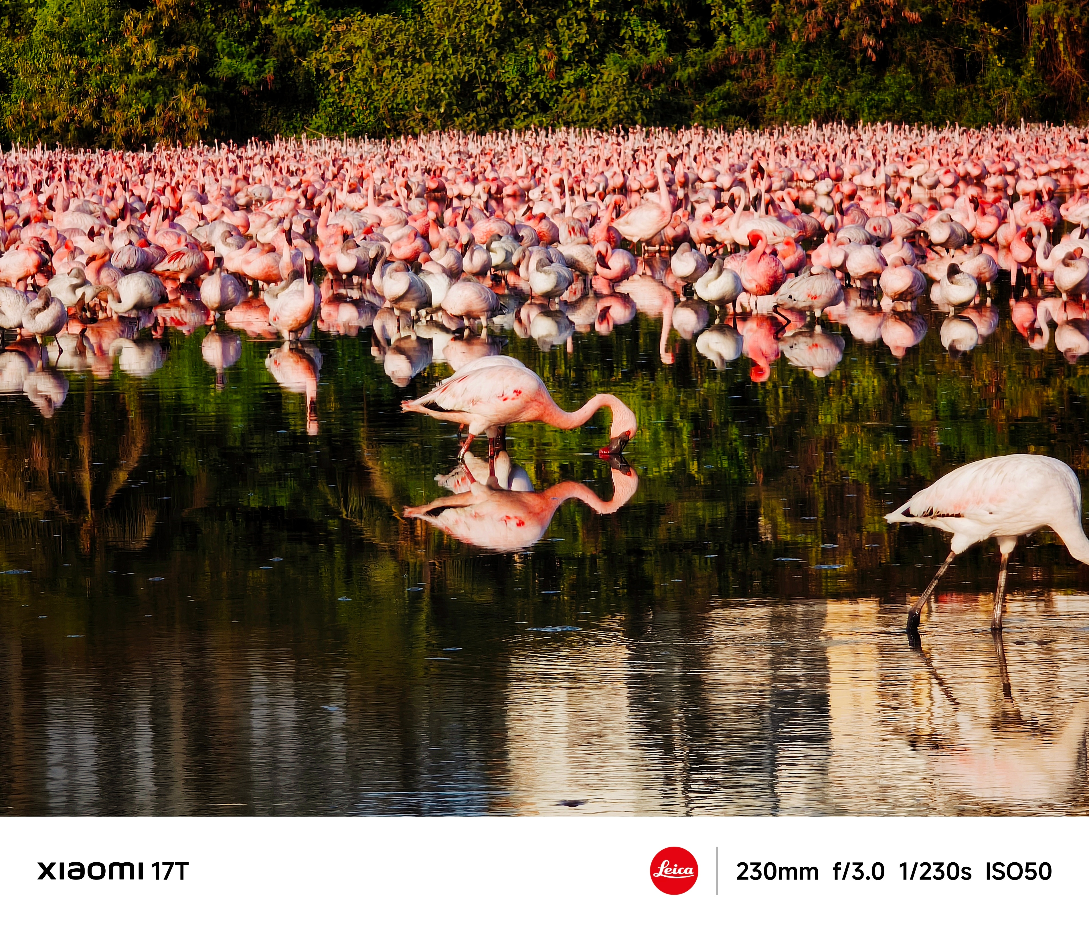 Why Zoom Is Becoming Smartphone Photography’s Biggest Challenge, And Opportunity