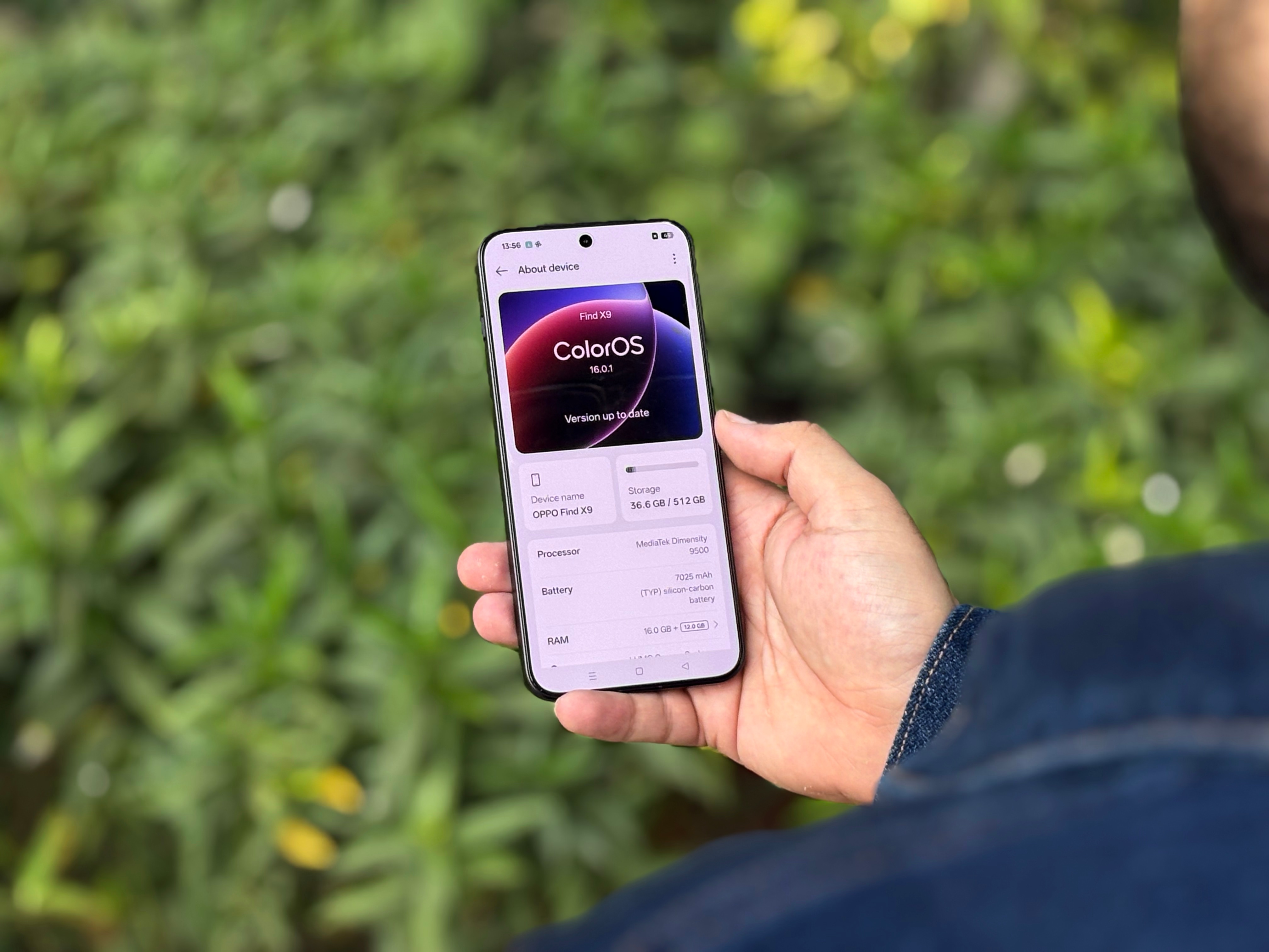 IMG 3737 copy smooth