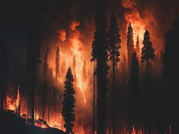 Santa Ana Winds Fuel LA Wildfires, 13,000 Acres Burned and Thousands Evacuated Santa Ana Winds Fuel LA Wildfires, 13,000 Acres Burned and Thousands Evacuated