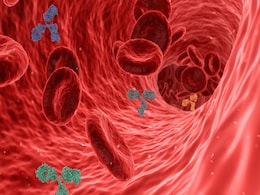 New MAL Blood Group System Identified, Revealing Genetic Basis of Rare Blood Types New MAL Blood Group System Identified, Revealing Genetic Basis of Rare Blood Types