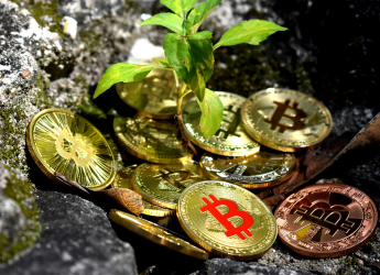 Bitcoin Steadies Above $86,000 as Crypto Market Eyes New Catalysts