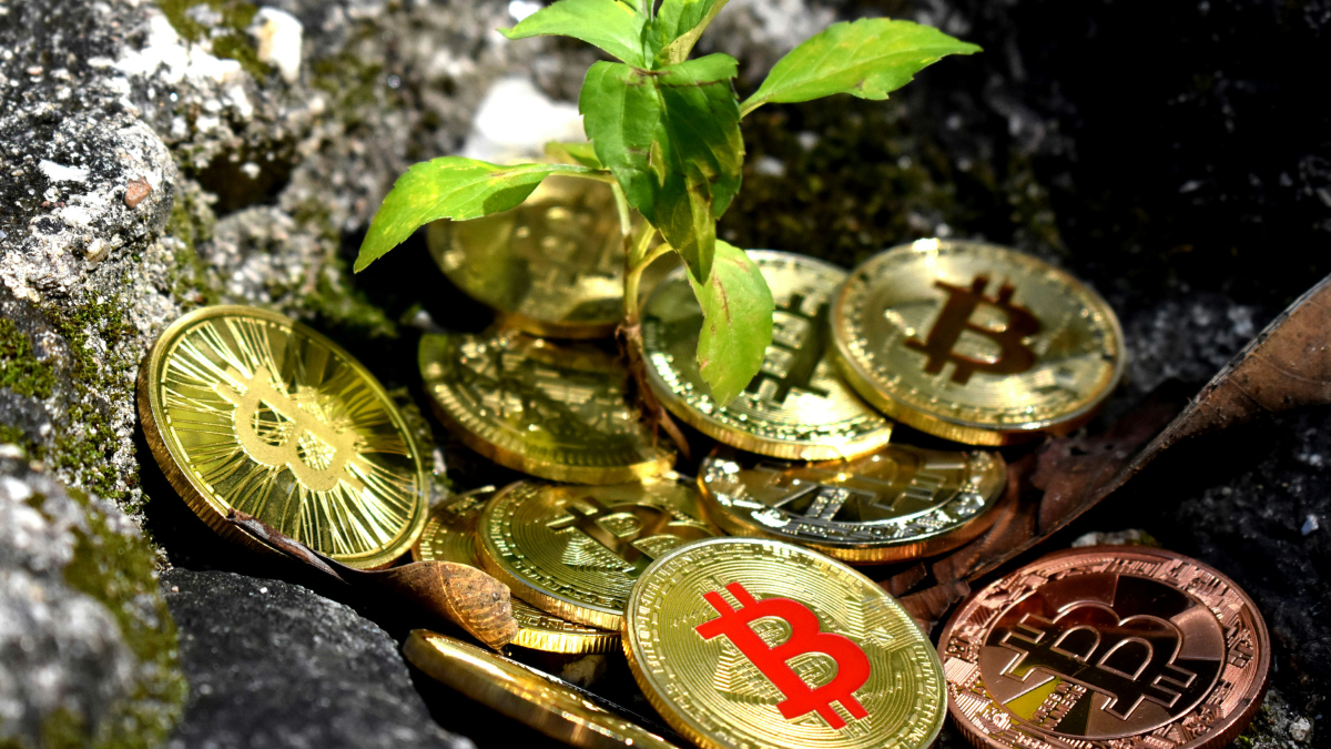 Bitcoin Price Rises After Sharp Drop as Altcoins Face Renewed Pressure