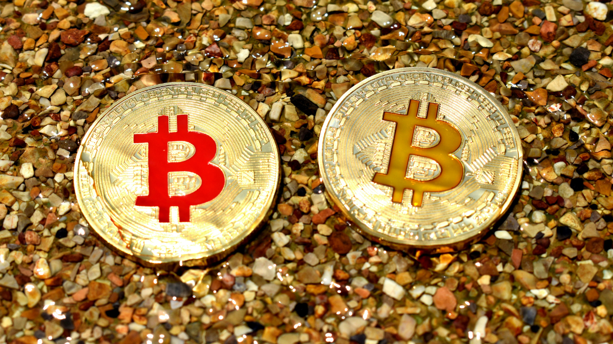 Bitcoin Slips to $103,500 as Market Consolidates Amidst Mixed Global Cues