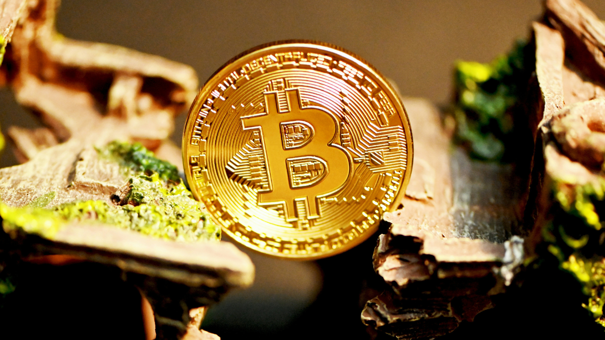 Bitcoin Holds Steady Near $75,000 as Cryptocurrency Prices Gain Support From Institutional Demand