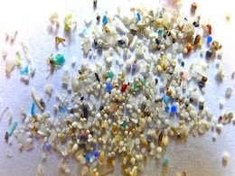 Microplastics Found in Human Brain Tissue, Study Shows Rising Levels Microplastics Found in Human Brain Tissue, Study Shows Rising Levels