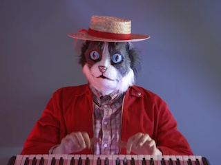 Microsoft Says the MacBook Air as Useful as a &#039;Hat for Your Cat&#039;