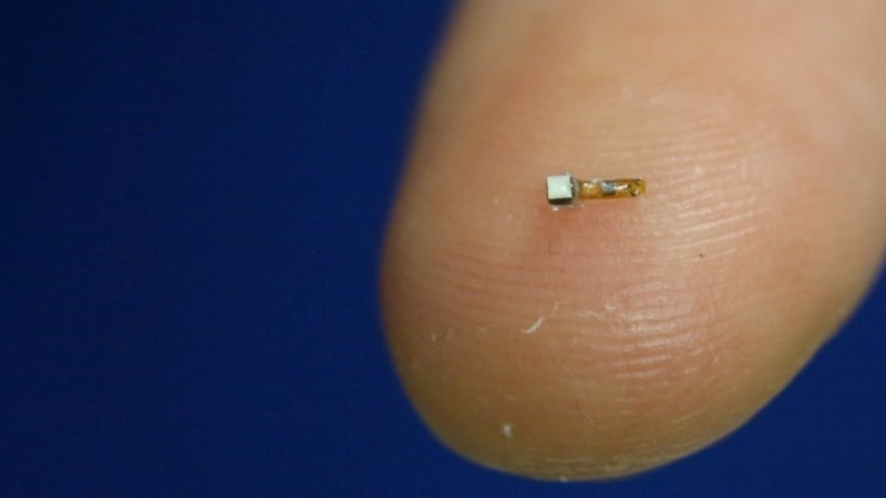Tiny 'Fitbits' to Keep Tabs on the Body From Within
