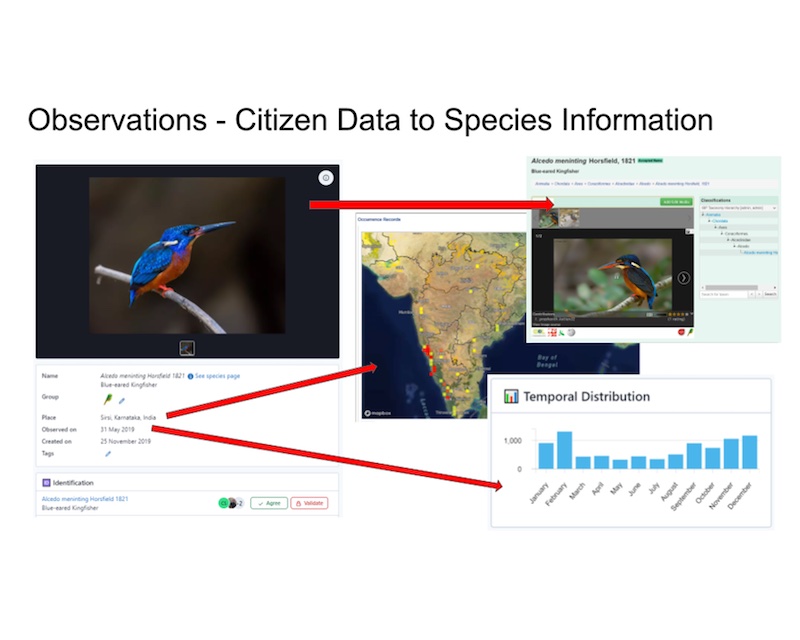 India Biodiversity Portal Is Documenting Every Species in the Country and Everyone Can Take Part