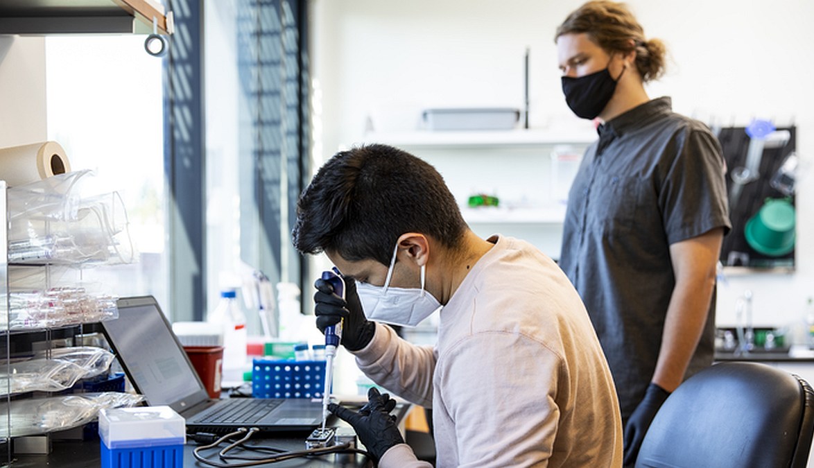 Researchers Develop 'NanoporeTERs' That Could Potentially Allow Computers to Directly Read Cells