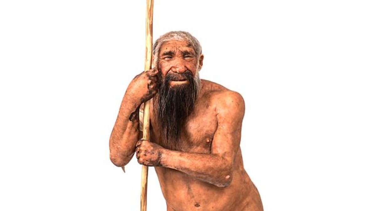 Neanderthal Genetic Bottleneck 110,000 Years Ago May Explain Their Decline