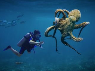 Octopuses May Become Earth&#039;s Next Dominant Species if Humans Go Extinct, Claims New Study