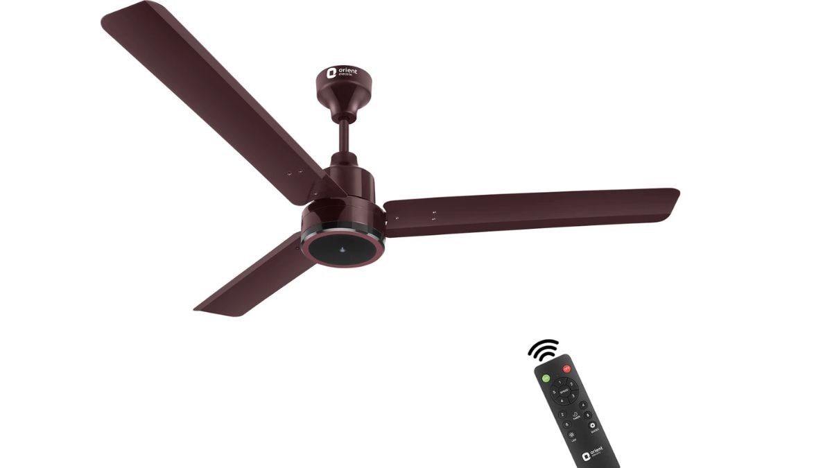 Latest and Breaking News on NDTV Latest and Breaking News on NDTV