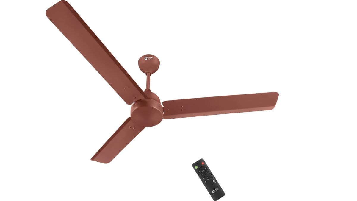 Latest and Breaking News on NDTV Latest and Breaking News on NDTV