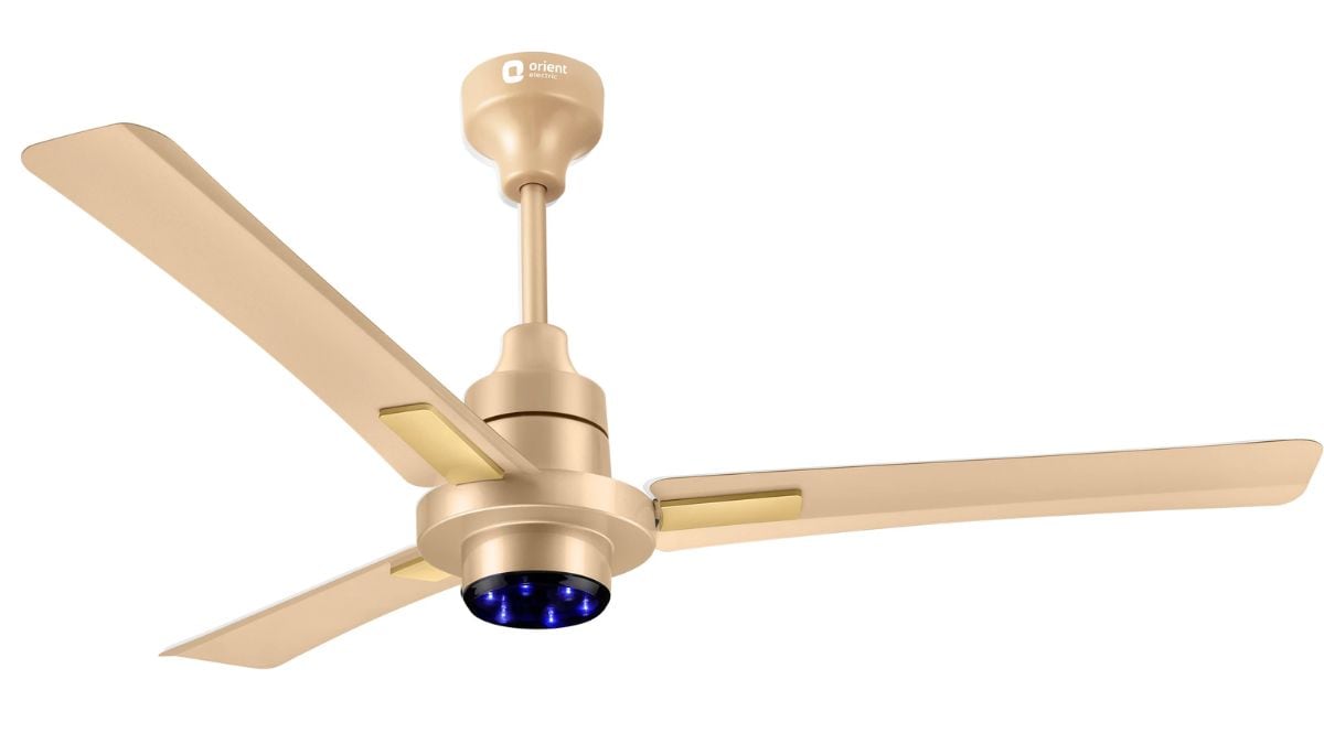 Latest and Breaking News on NDTV Latest and Breaking News on NDTV