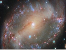 Hubble Telescope Observes Young Stars HOPS 150 and HOPS 153 in Orion Nebula Hubble Telescope Observes Young Stars HOPS 150 and HOPS 153 in Orion Nebula