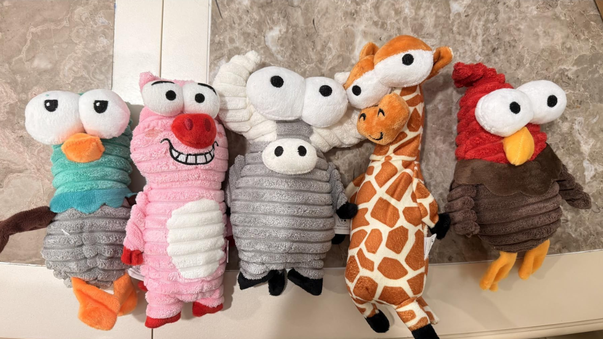 Best Plush Toys For Dogs: Engage With Safe Playtime