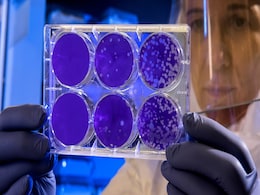 Climate Change Could Make Earth's Oldest Microorganisms Dominant in Oceans, Study Reveals Climate Change Could Make Earth's Oldest Microorganisms Dominant in Oceans, Study Reveals