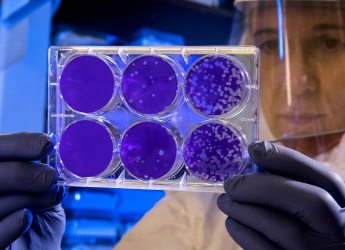 Climate Change Could Make Earth&#039;s Oldest Microorganisms Dominant in Oceans, Study Reveals