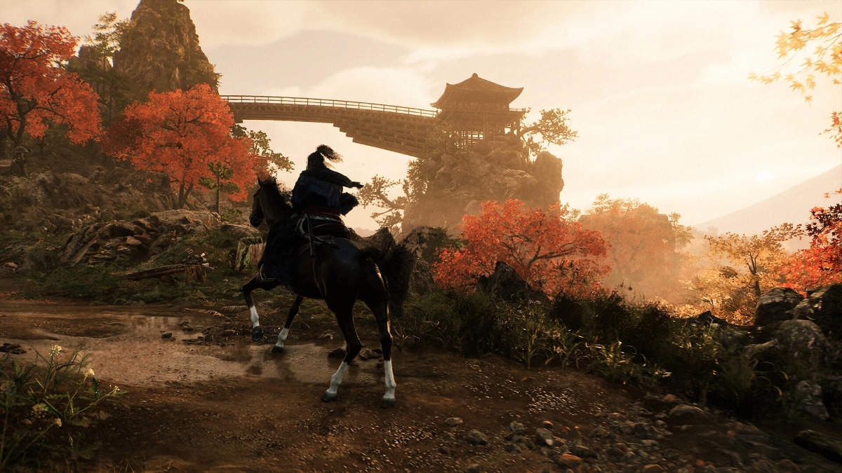 RISE OF THE RONIN ronin